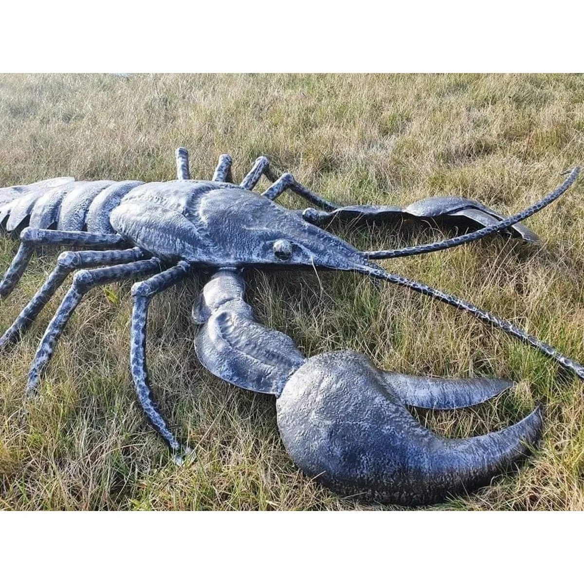 Wrought Iron Crab - Image 7